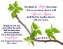 Bible Journaling: Hope for a Tree